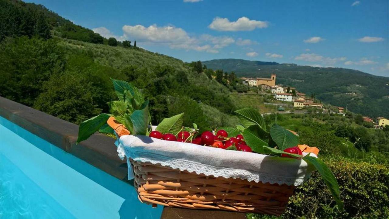 Podere Gianpaolo Pescia Exteriér fotografie
